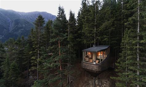 8 billion trees vacation.